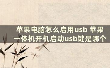 苹果电脑怎么启用usb 苹果一体机开机启动usb键是哪个